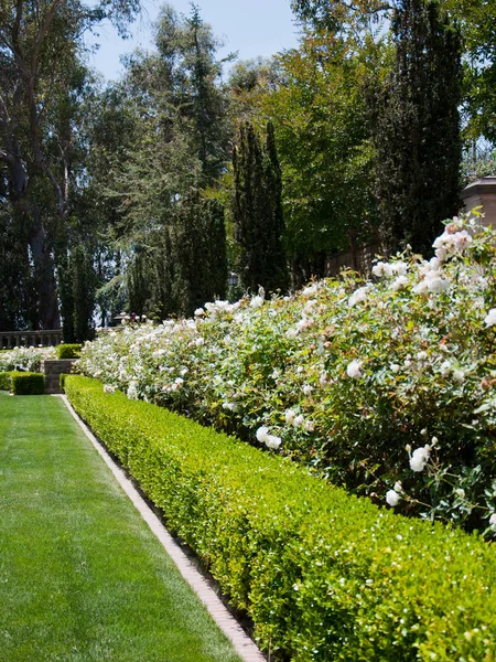Ogrody kwiatowe w jednym parku — Zdjęcie stockowe