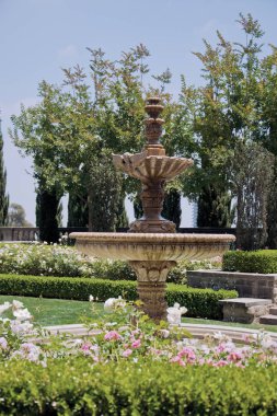 çiçek ve bir park Çeşmesi