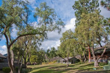 Central Park'ta bulutlar ile güneşli gün