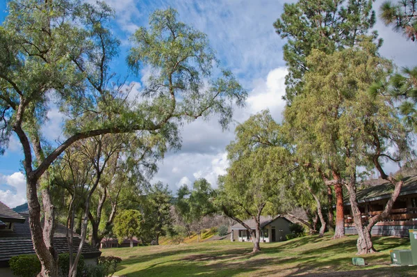 Central Park'ta bulutlar ile güneşli gün