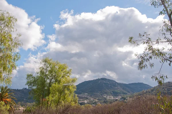 Parque central en día soleado con nubes —  Fotos de Stock