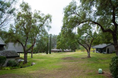 Central Park'ta bulutlar ile güneşli gün