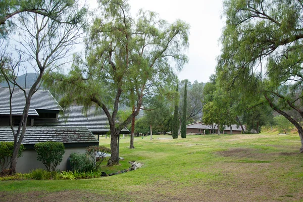 Central Park'ta bulutlar ile güneşli gün