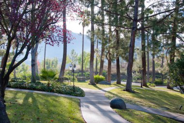 Central Park'ta bulutlar ile güneşli gün