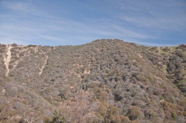 Canon, Los Angeles Kaliforniya görünümünü