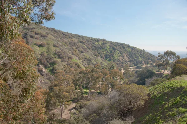 Άποψη της Canon στο Λος Άντζελες στην Καλιφόρνια — Φωτογραφία Αρχείου