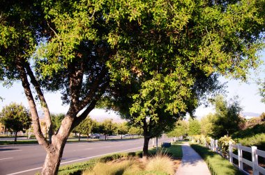 Egzersiz ve yürüyüş için yaya yürüme yolu