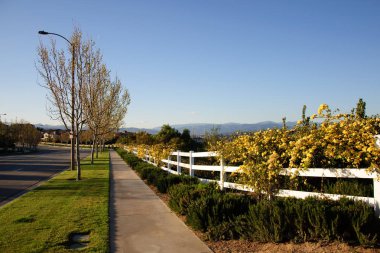 Egzersiz ve yürüyüş için yaya yürüme yolu