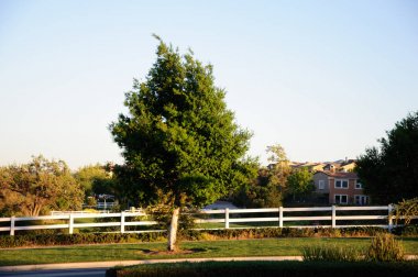 Egzersiz ve yürüyüş için yaya yürüme yolu