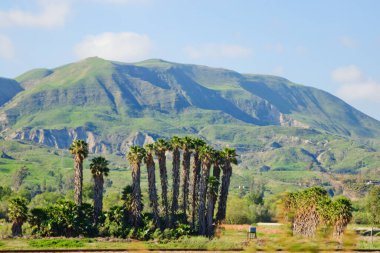Çölde palmiye vahası, güneşli Kaliforniya 'da dağlar var.