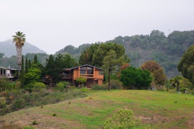 Kuzey Kaliforniya 'daki Hillside Manzarası. Güneş, yuvarlak şekilli ağaçları bu yeşil manzaranın harika aydınlık kenarlarıyla boyamış..
