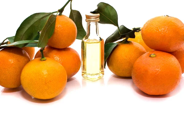 Mandarinas Naranjas Maduras Una Rama — Foto de Stock