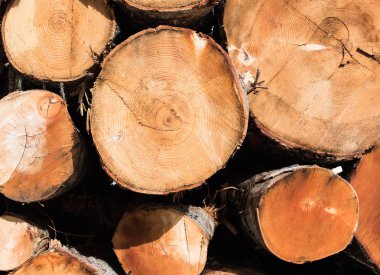 Güzel Boyutlanmış ahşap