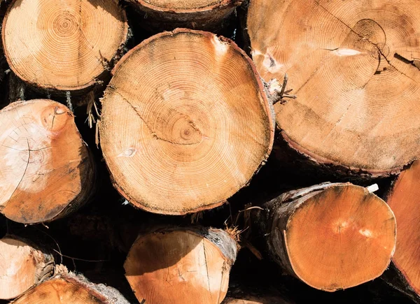 Güzel Boyutlanmış ahşap