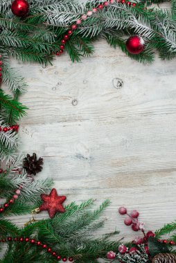 Her yıl kesilen eski ağacın uç yüzünde halka ve çatlaklar