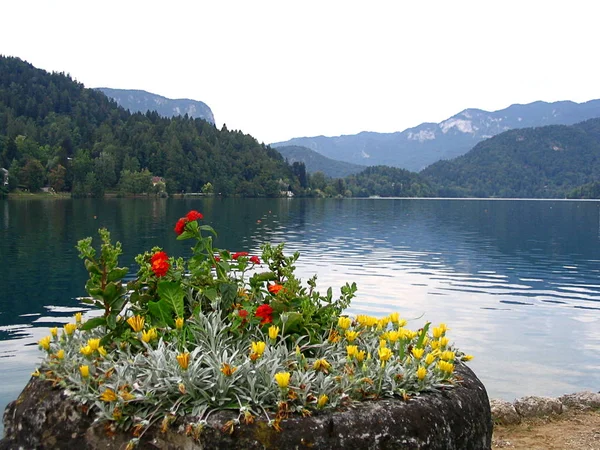 Panoramablick auf den See, Slowenien — Stockfoto