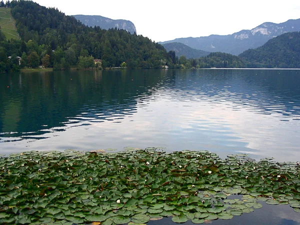 スロベニア、ブレッド湖のパノラマ ビュー — ストック写真