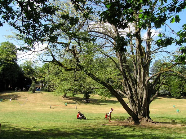 ルクセンブルク 2015年7月21日 美しい都市公園で休息 — ストック写真