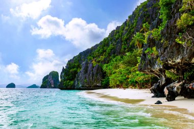 Sahil tropikal yeşil ağaçlar ve dağlar