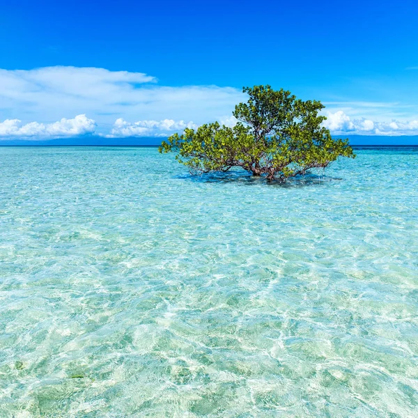 Surrealistyczne tropikalna wyspa — Zdjęcie stockowe