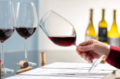 Detailní záběr enologa držícího sklenici červeného vína na ochutnávce vína. Tužka a dokumenty na stole s rozostřenými lahvemi na pozadí.