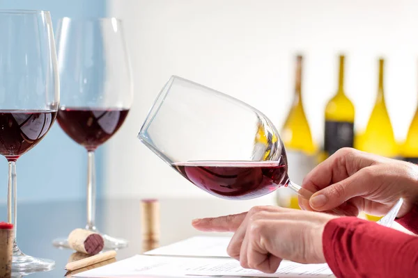 Close Detail Hand Holding Red Wine Glass Table Enologist Evaluating — Stock Photo, Image
