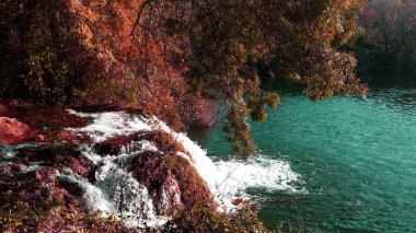 Sonbahar içinde Milli Park Krka 