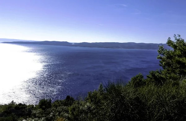 Orman Hırvat deniz kenarı 