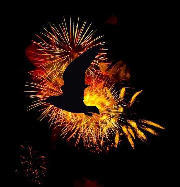 Vuurwerk Show Met Silhouette Van Een Vliegende Vogel Verenigd Koninkrijk — Stockfoto