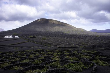 Volkan La Corona ve üzüm Vadisi - Lanzarote, Kanarya Adaları, İspanya
