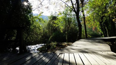 Hırvatistan 'ın Krka Ulusal Parkı' ndaki Şelaleler