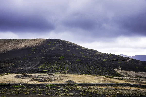 stock image Volcano La Corona  and grape valley - Lanzarote, Canary Islands, Spain