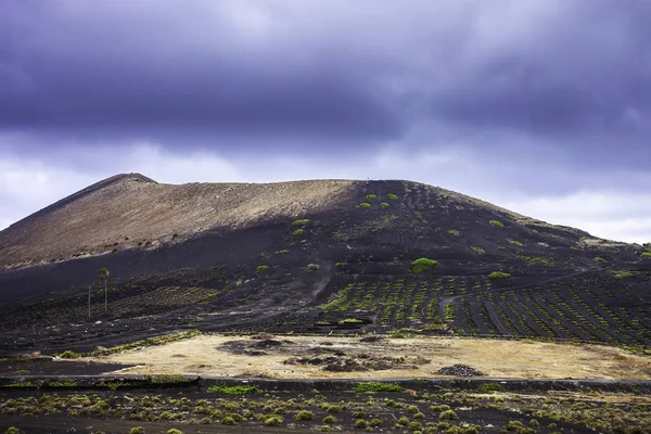Вулкан Корона Виноградные Ванны Лароте Канарские Острова Испания — стоковое фото