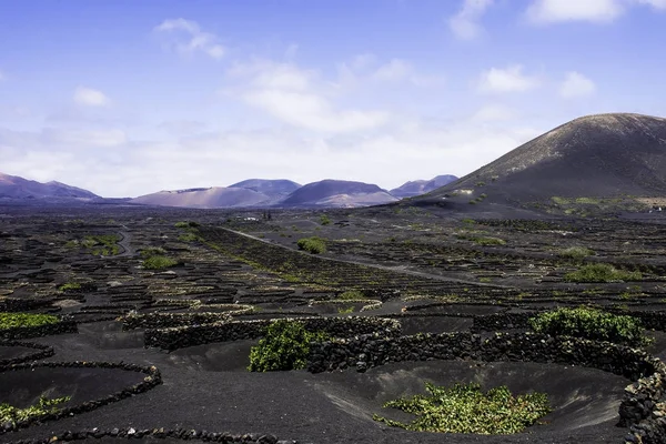 Volkan La Corona ve üzüm Vadisi - Lanzarote, Kanarya Adaları, İspanya