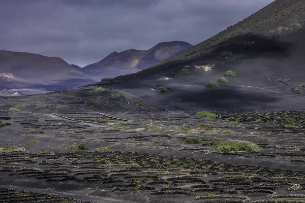 Vulkán Corona Szőlő Völgy Lanzarote Canary Islands Spanyolország — Stock Fotó