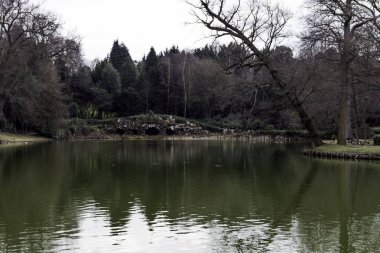 Grotto - eski köprünün Claremont manzara Garden, Esher, İngiltere