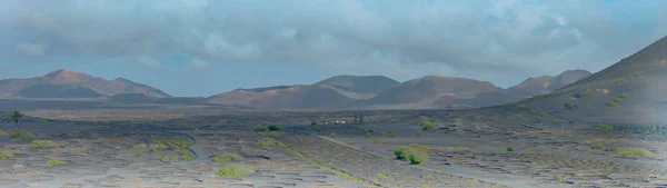 Vinné Údolí Geria Lanzarote Kanárské Ostrovy Španělsko — Stock fotografie