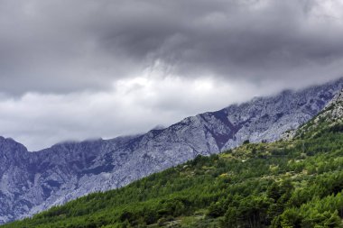 Bulutlarda dağlar - Brela, Makarska Riviera, Hırvatistan ile Hırvat orman