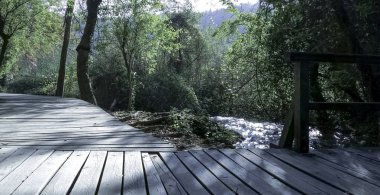 Hırvat doğası - Krka Ulusal Parkı 'ndaki orman, göller, şelaleler