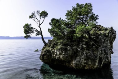 Kamen Brela - ünlü ada Brela, Makarska Riviera, Dalmaçya, Hırvatistan