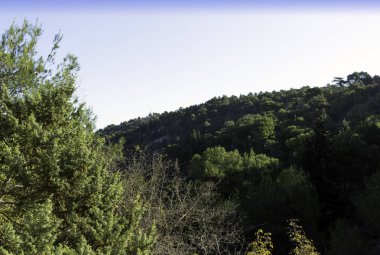 Hırvat doğası - Krka Ulusal Parkı 'ndaki orman, göller, şelaleler