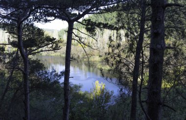 Hırvat doğası - Krka Ulusal Parkı 'ndaki orman, göller, şelaleler