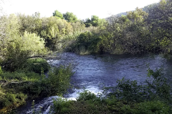 Horvát Természet Erdők Tavak Vízesések Krka Nemzeti Parkban — Stock Fotó