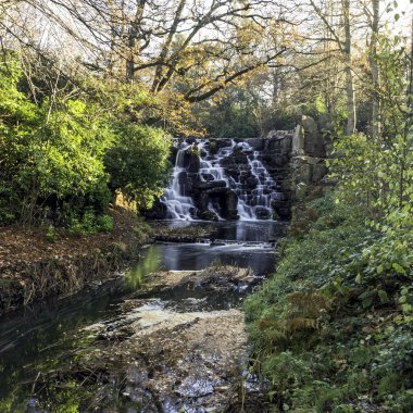 Virginia 'da Şelale Şelalesi, Surrey, Birleşik Krallık