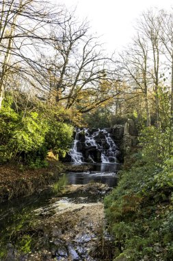Süs basamaklı şelale Virginia su, Surrey, İngiltere