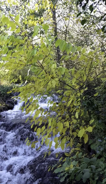 Хорватская Природа Лес Озера Водопады Национальном Парке Крка — стоковое фото