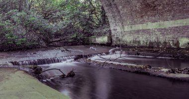 Virginia 'da Gelinin Altında Su, Surrey, Birleşik Krallık