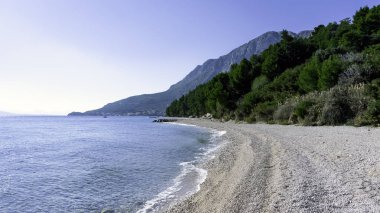 Adriyatik Denizi, plaj ve orman - Podgora, Makarska Riviera, Dalmaçya, Hırvatistan