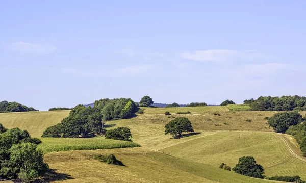 Dia Ensolarado Winkworth Arboretum Park Godalming Surrey Reino Unido — Fotografia de Stock