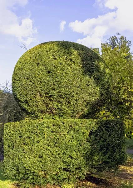 Topiary garden with shrub trimmed into shape - Osterley Park, Isleworth, UK